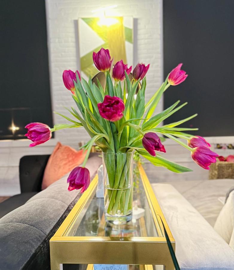 2Br 2Br Le Chateau 505 Lux Penthouse In A Historic Building Utica Buitenkant foto